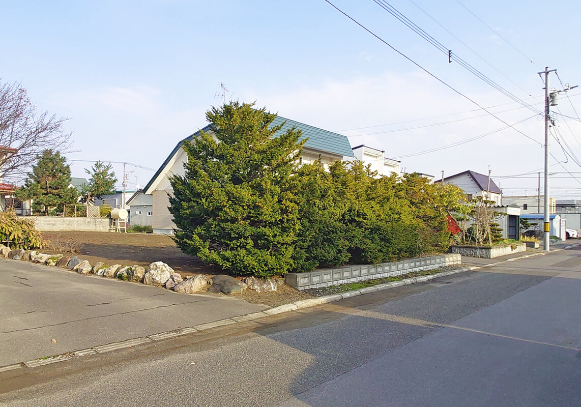 植栽や境界ブロック等あり、撤去後更地にてお引渡し