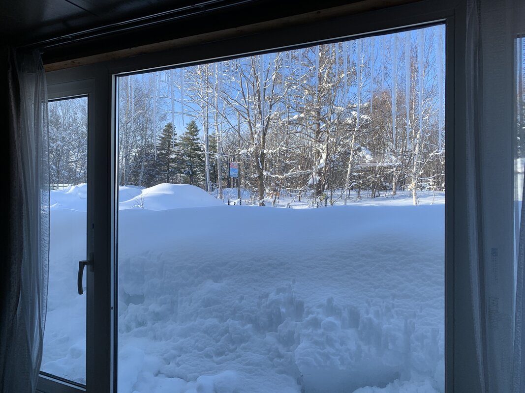 居間からの眺め