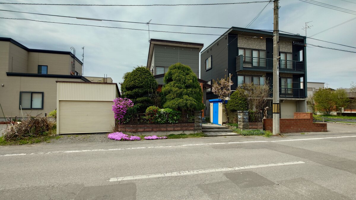 南東向き
