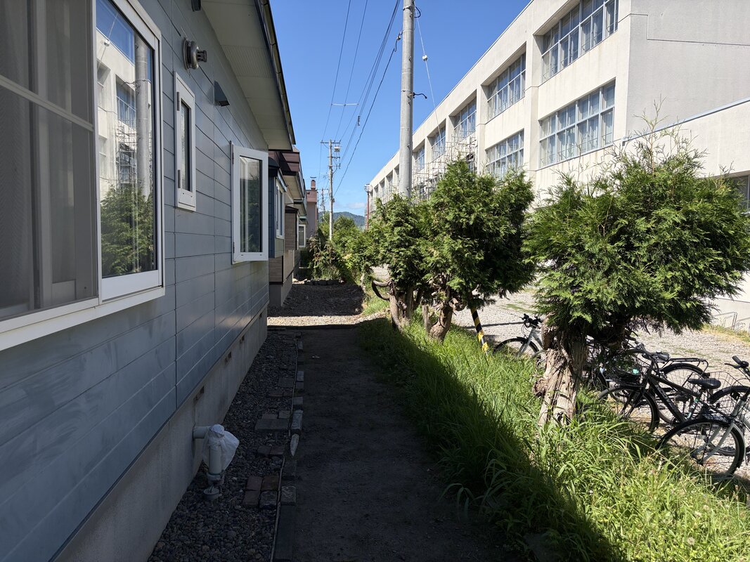 建物裏手