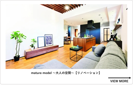 mature model.png
