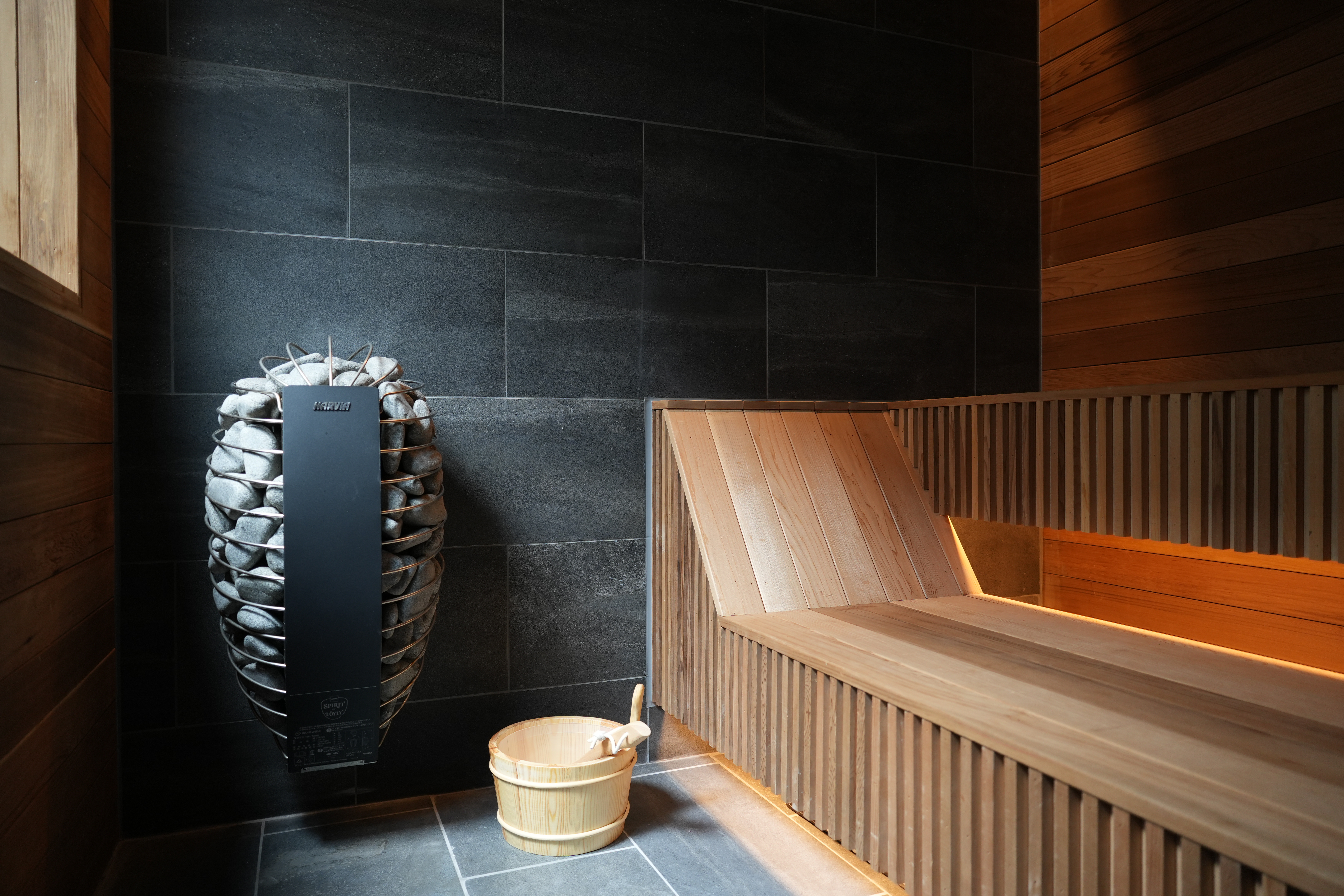 Sauna room