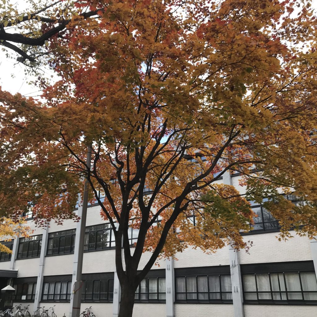 北大01