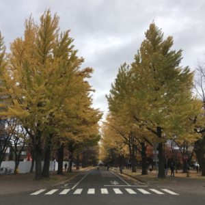北大2