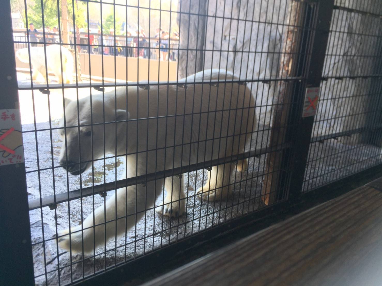動物園に行きたいです 旭川の新築 リフォームに役立つブログ 旭川の注文住宅 リフォームなら石山工務店 動物園に行きたいです 旭川の新築 リフォームに役立つブログ 旭川の注文住宅 リフォームなら石山工務店