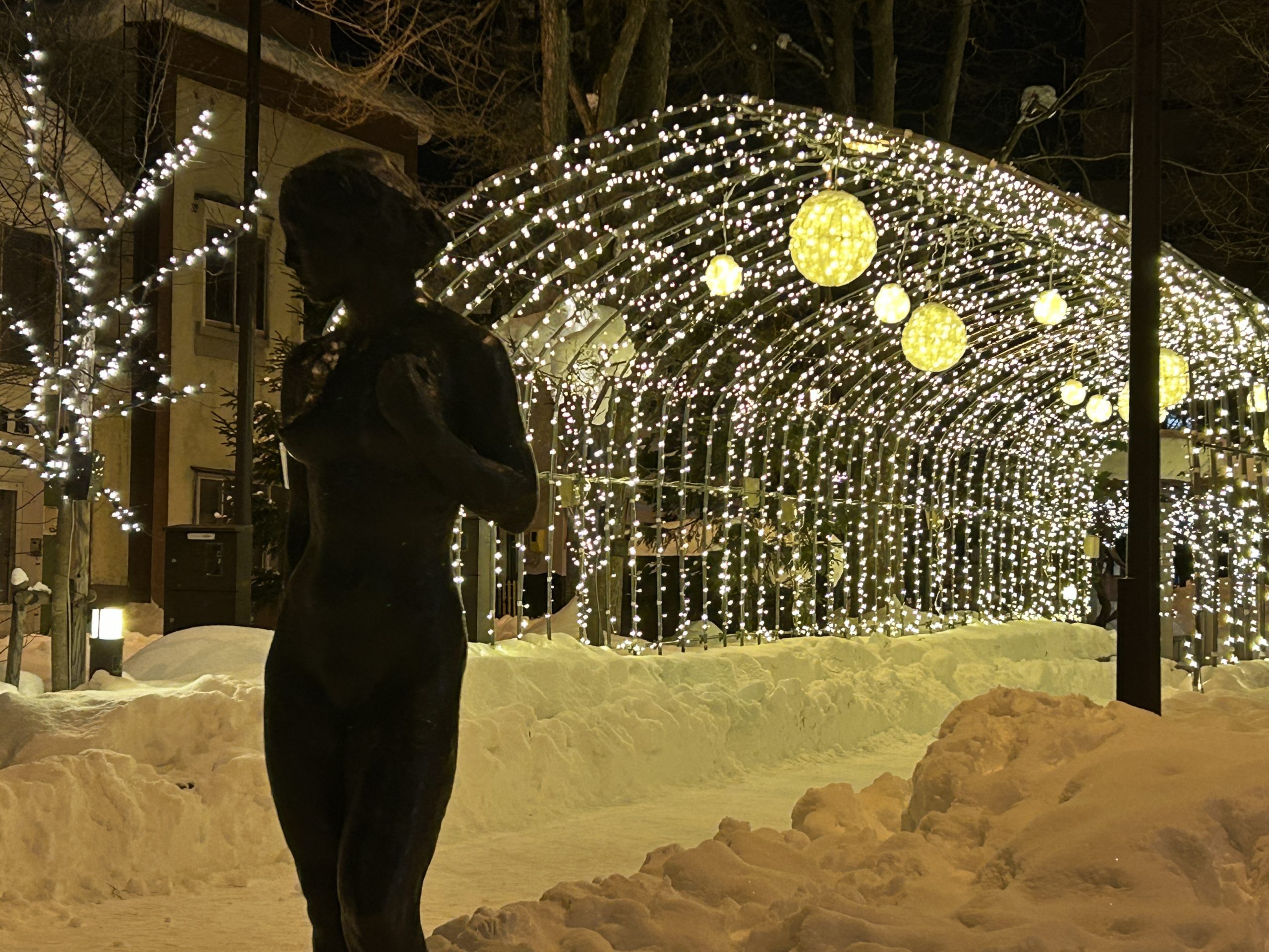 旭川の街あかり⛄