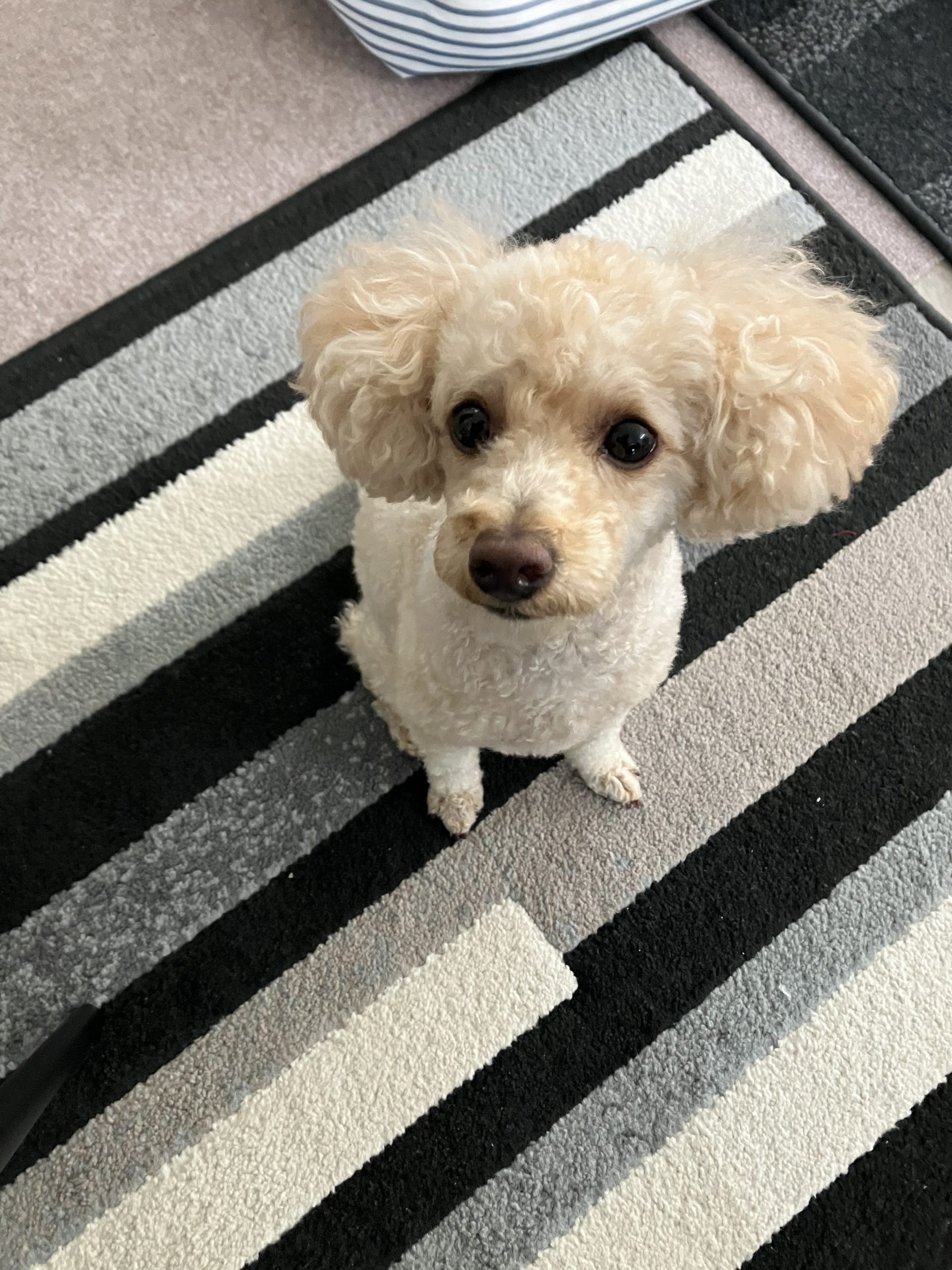 【自己紹介】SOUHOUSEサポート業務