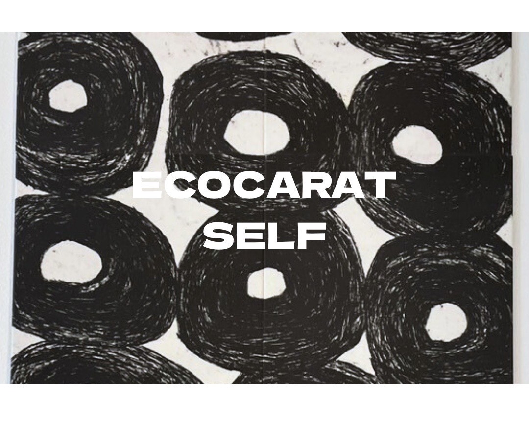 ECOCARAT SELF 施工体験