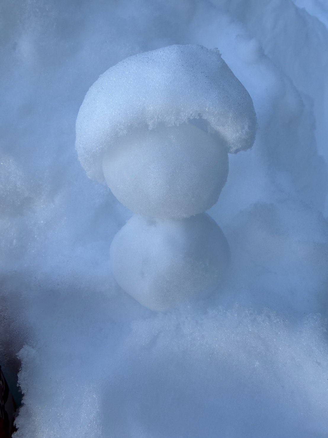 孫達・・・冬を満喫する！