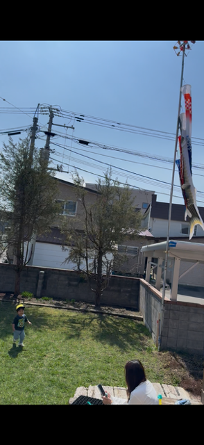 庭の鯉のぼり