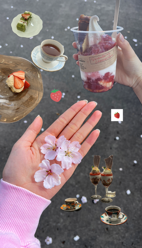 気づけば春ですね🌼